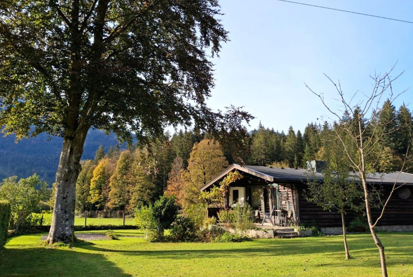 Chalet Scheffsnoth لوفر المظهر الخارجي الصورة