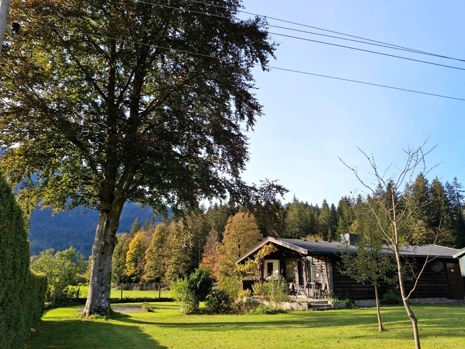 Chalet Scheffsnoth لوفر المظهر الخارجي الصورة